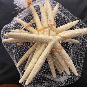 SIX 8 INCH STARFISH NEW CONDITION